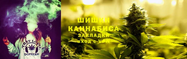 шишки Алексин