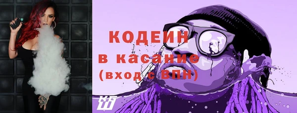 шишки Алексин