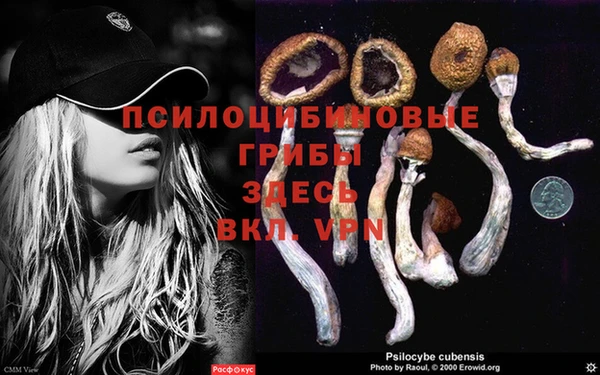 каннабис Алексеевка