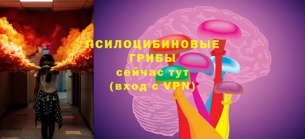 шишки Алексин