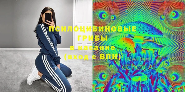шишки Алексин
