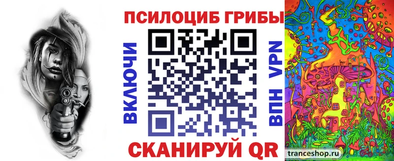 где можно купить наркотик  Бологое  Галлюциногенные грибы Magic Shrooms 